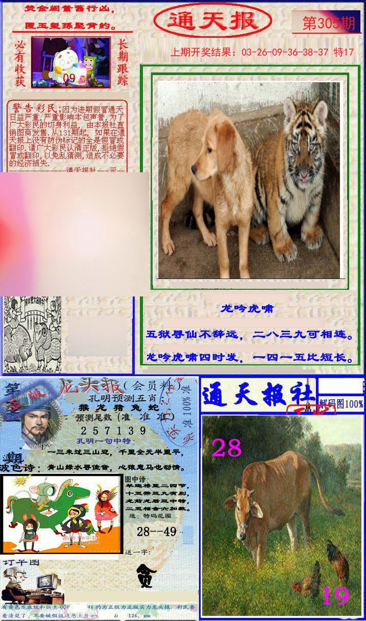 2024305期实力通天报