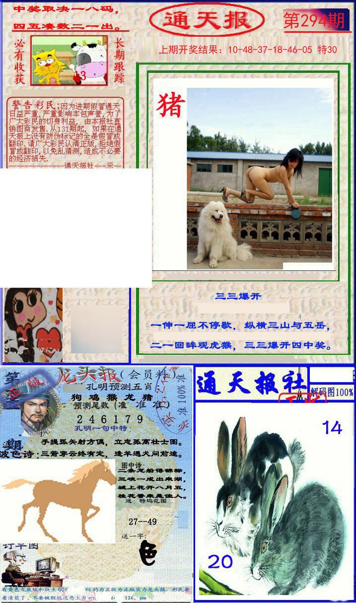 2024294期实力通天报