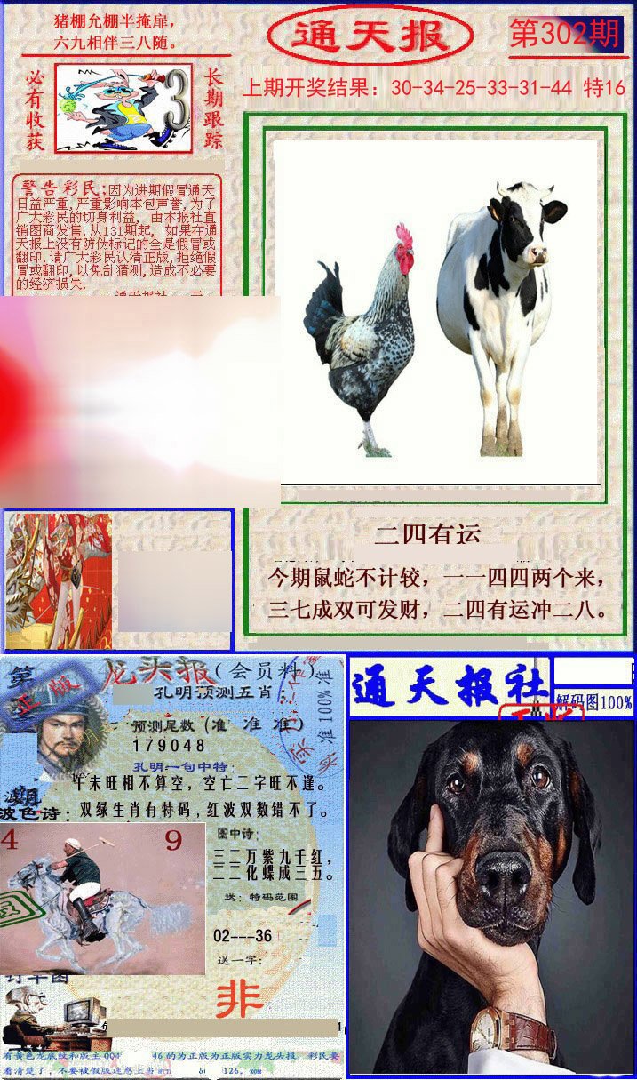 2024302期实力通天报