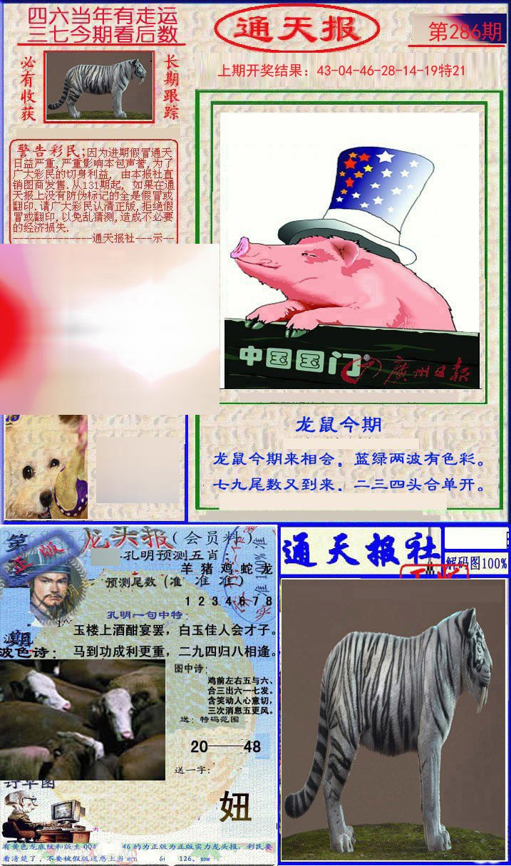 2024286期实力通天报