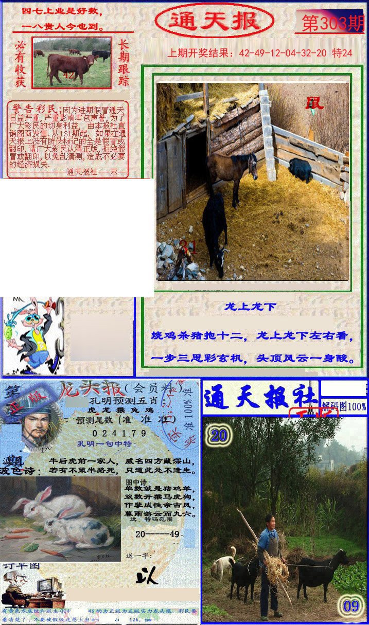 2024303期实力通天报