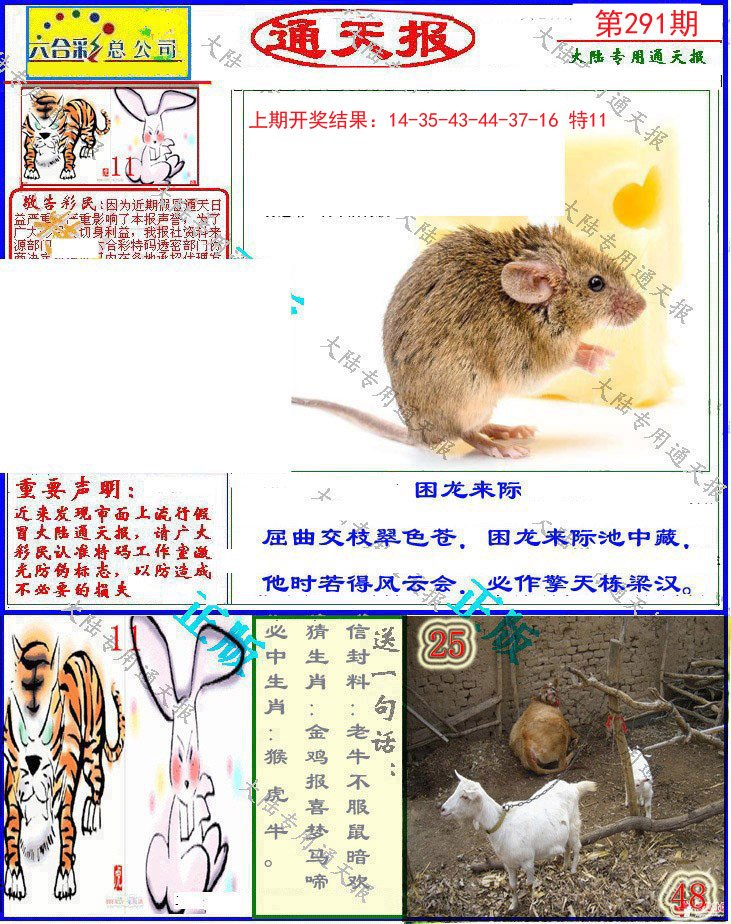 2024291期大陆通天报