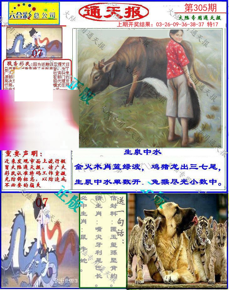 2024305期大陆通天报
