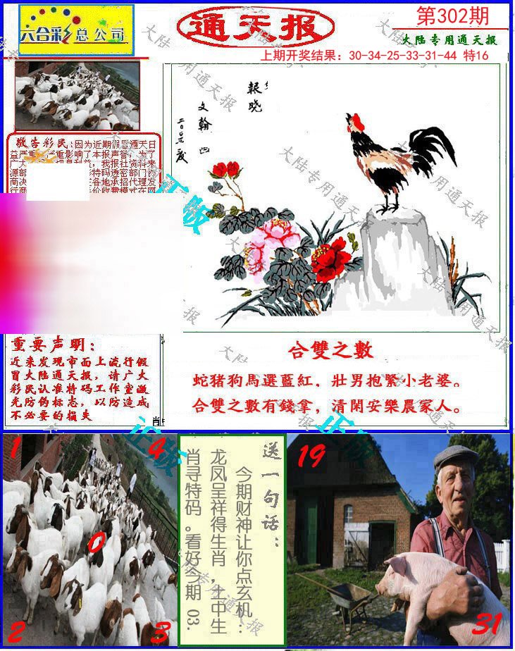2024302期大陆通天报