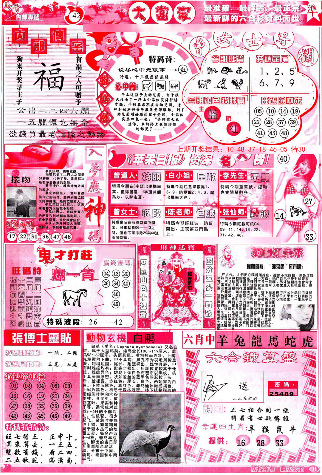 2024294期彩卷后庄B