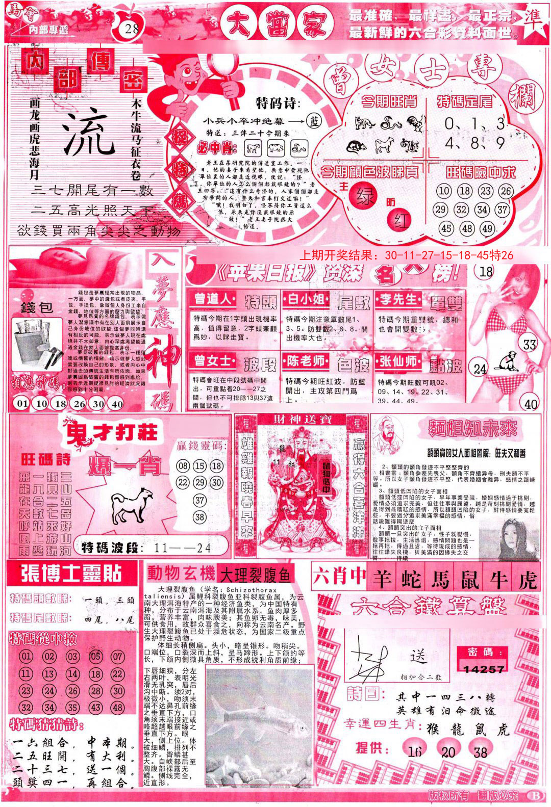 2024289期彩卷后庄B