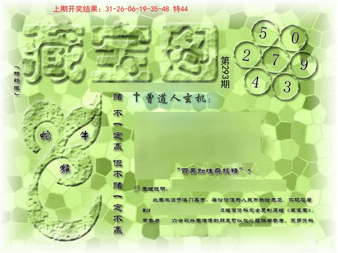 2024293期假新藏宝图