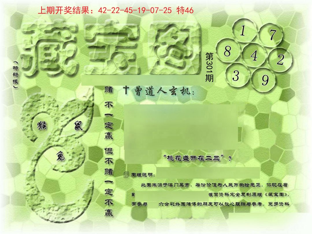 2024301期假新藏宝图