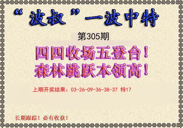 2024305期波叔一波中特