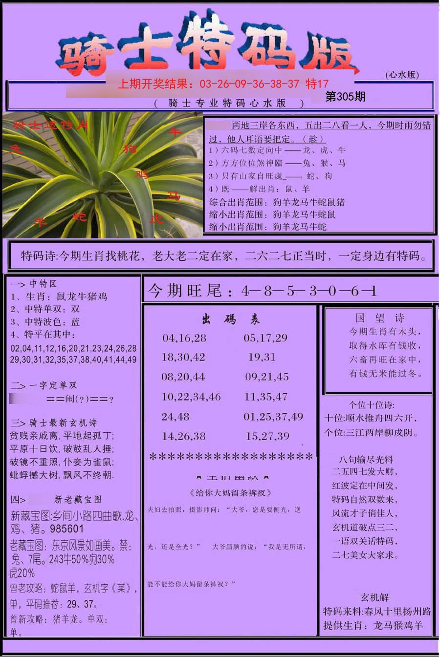 2024305期骑士特码版