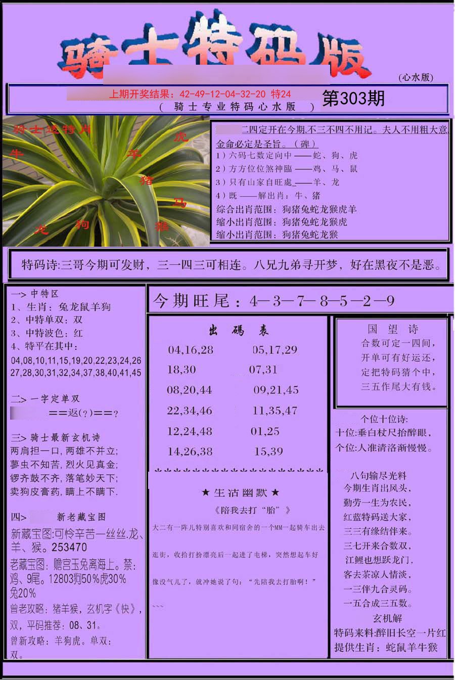 2024303期骑士特码版
