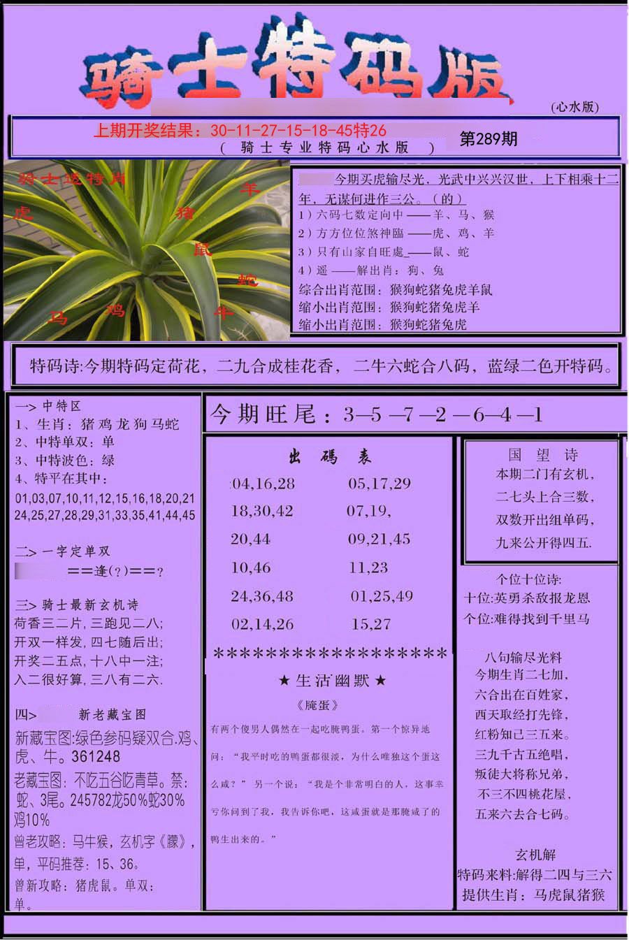 2024289期骑士特码版