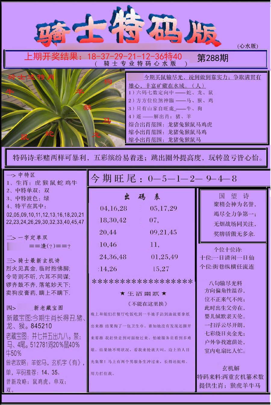 2024288期骑士特码版