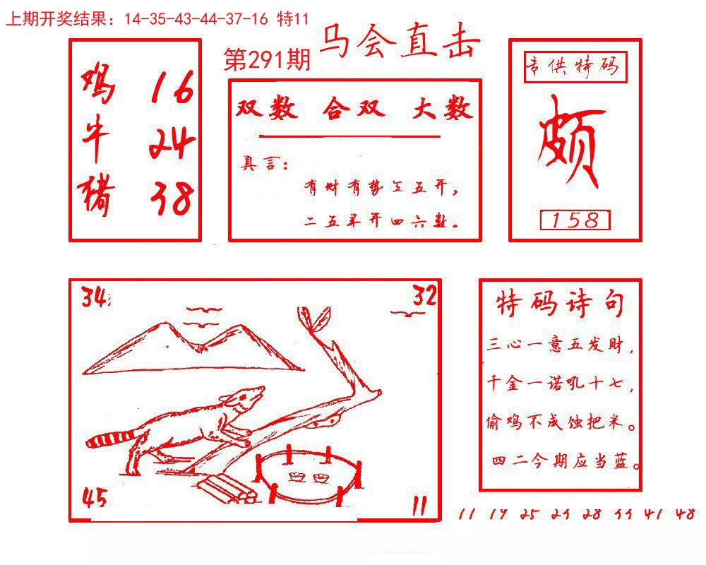 2024291期马会直击