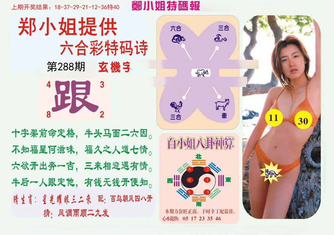 2024288期郑小姐特码报B
