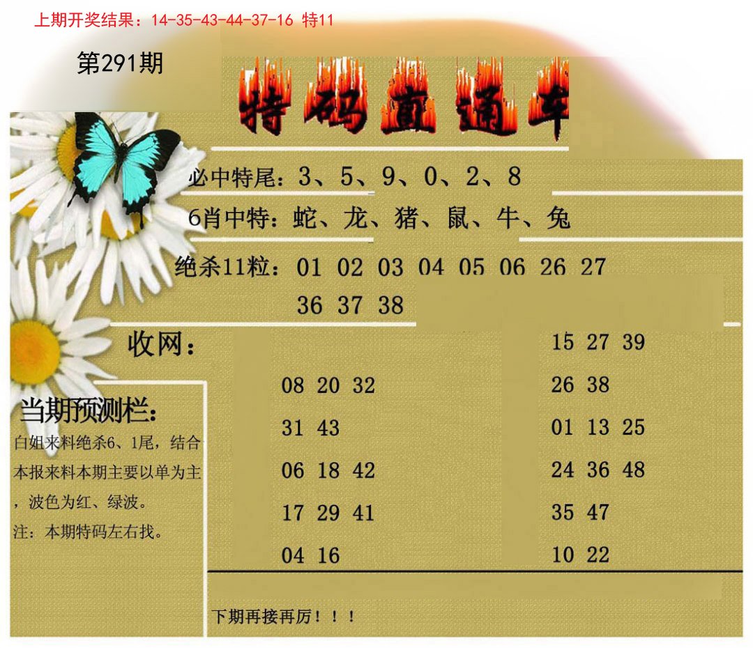 2024291期特码直通车