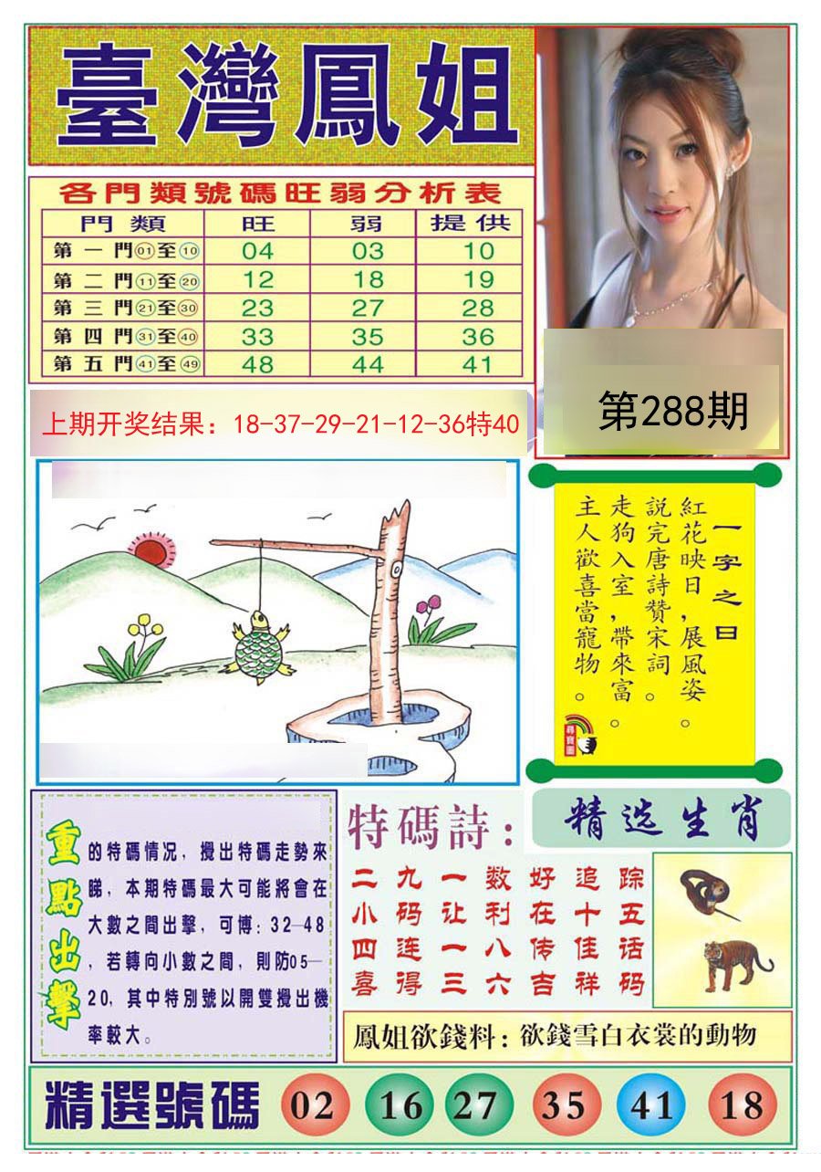 2024288期台湾凤姐