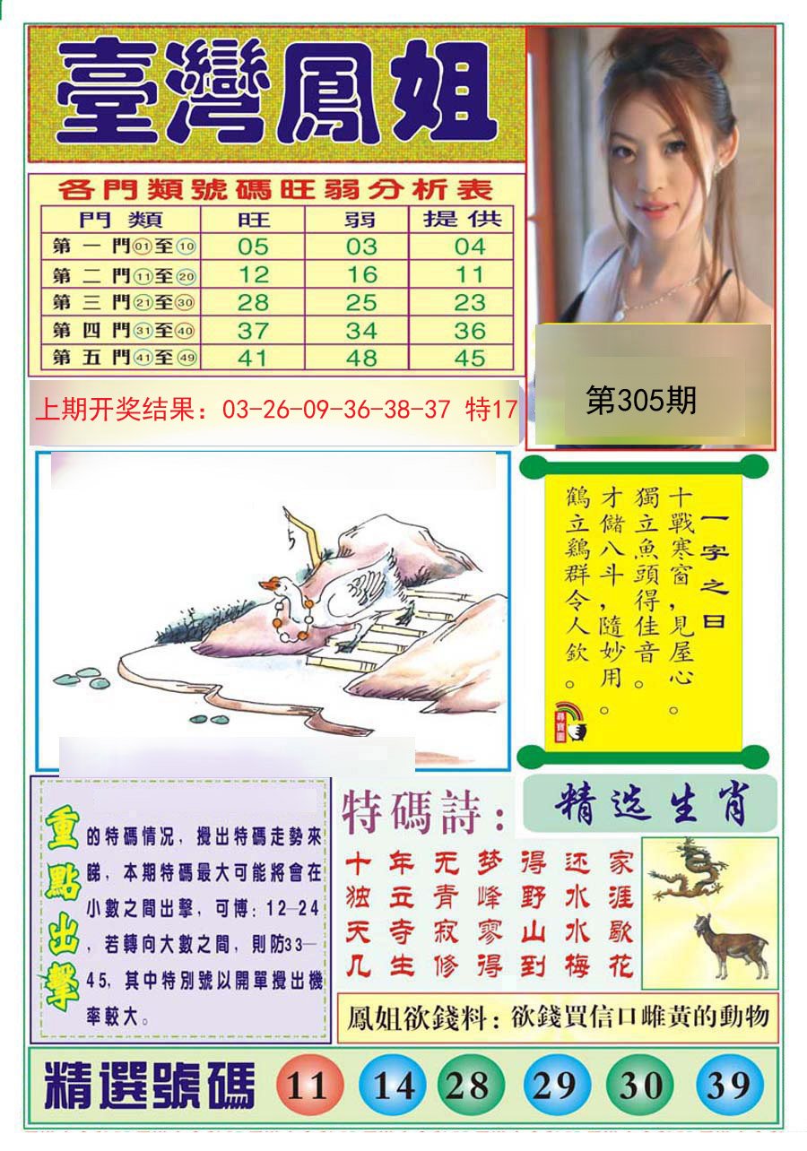 2024305期台湾凤姐