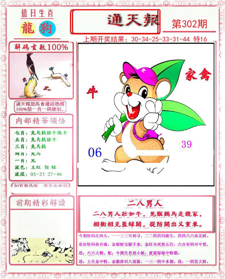 2024302期小喜通天报