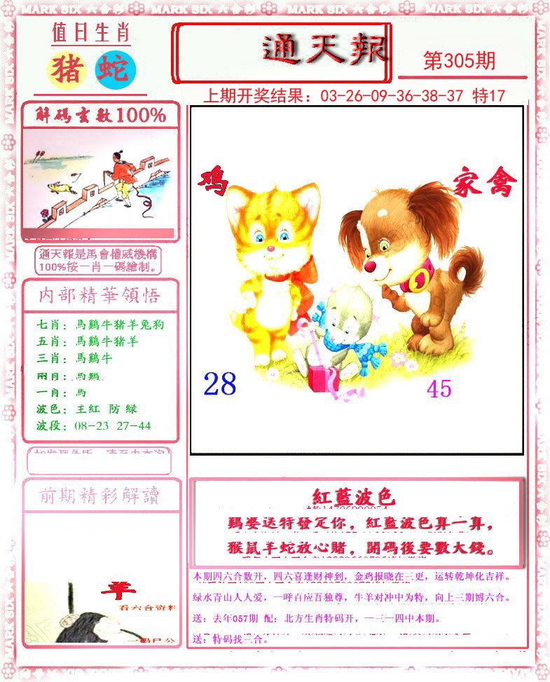 2024305期小喜通天报