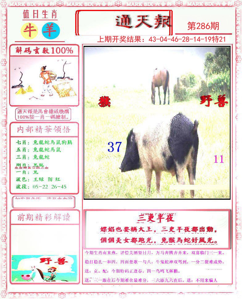 2024286期小喜通天报