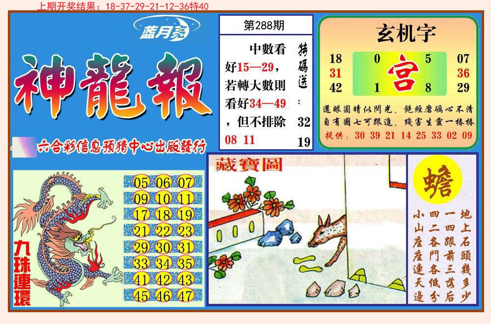 2024288期神龙报