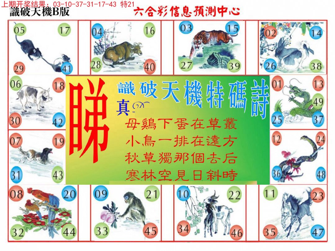 2024300期识破天机B版