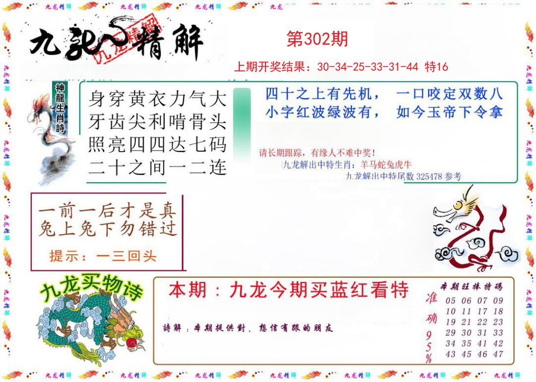2024302期九龙精解