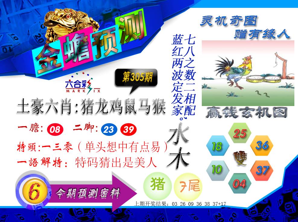 2024305期金蟾预测