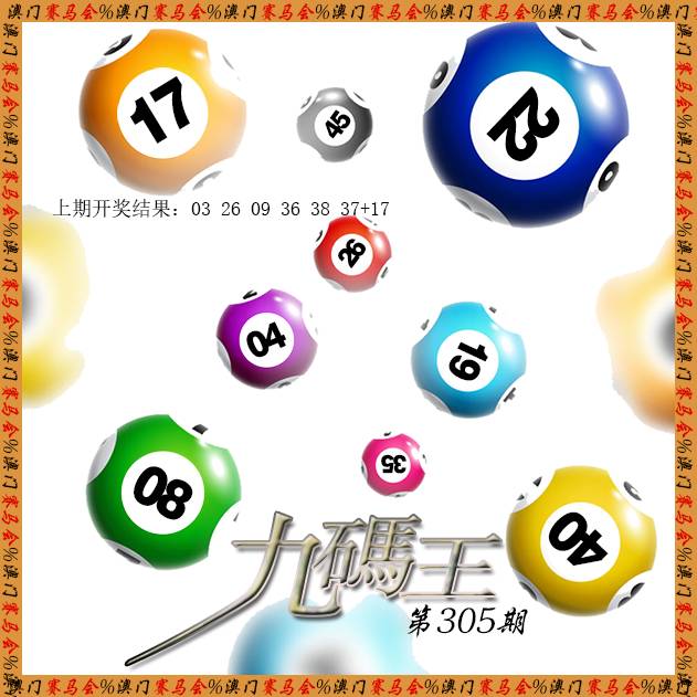 2024305期九码王