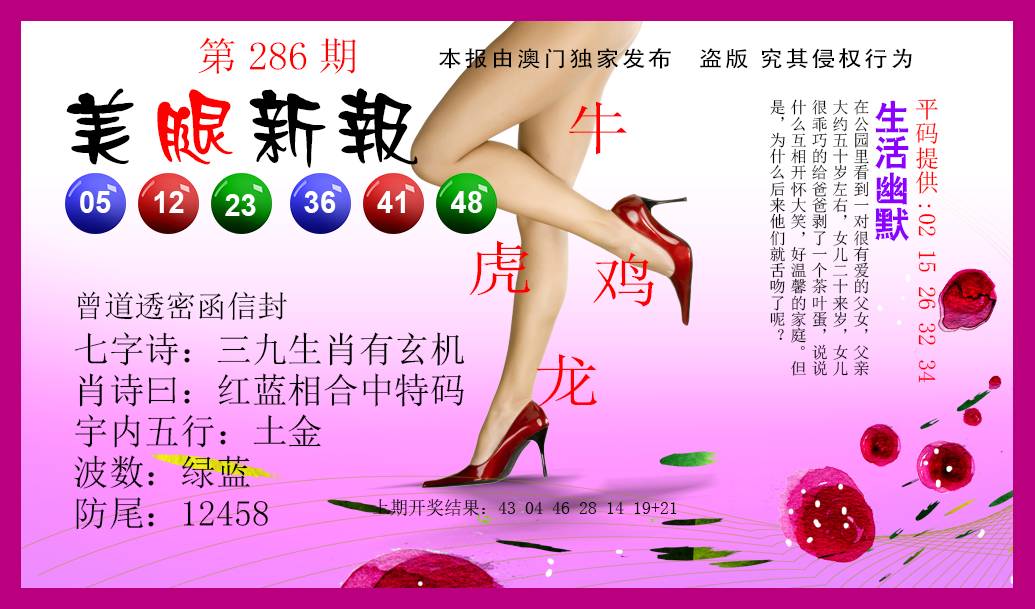 2024286期美腿新报
