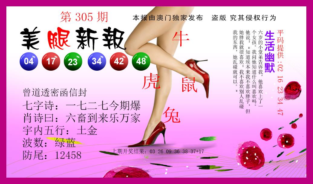 2024305期美腿新报