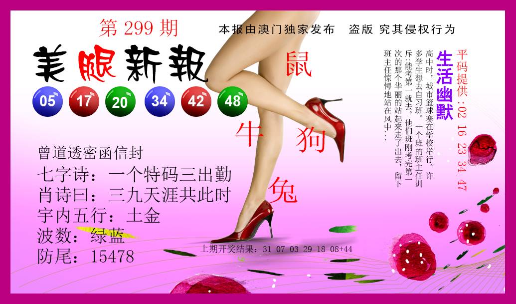 2024299期美腿新报