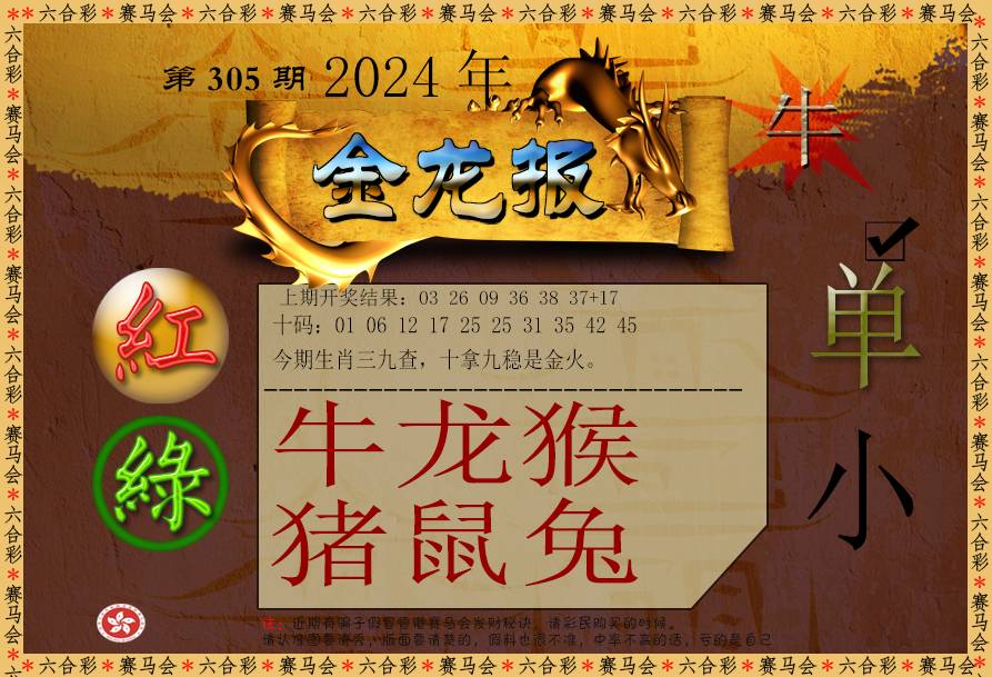 2024305期金龙报