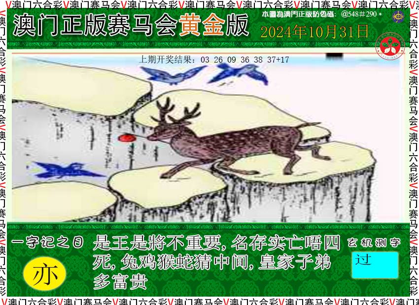 2024305期赛马会黄金版