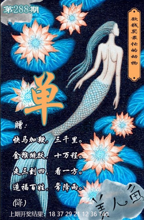 2024288期美人鱼单双中特图