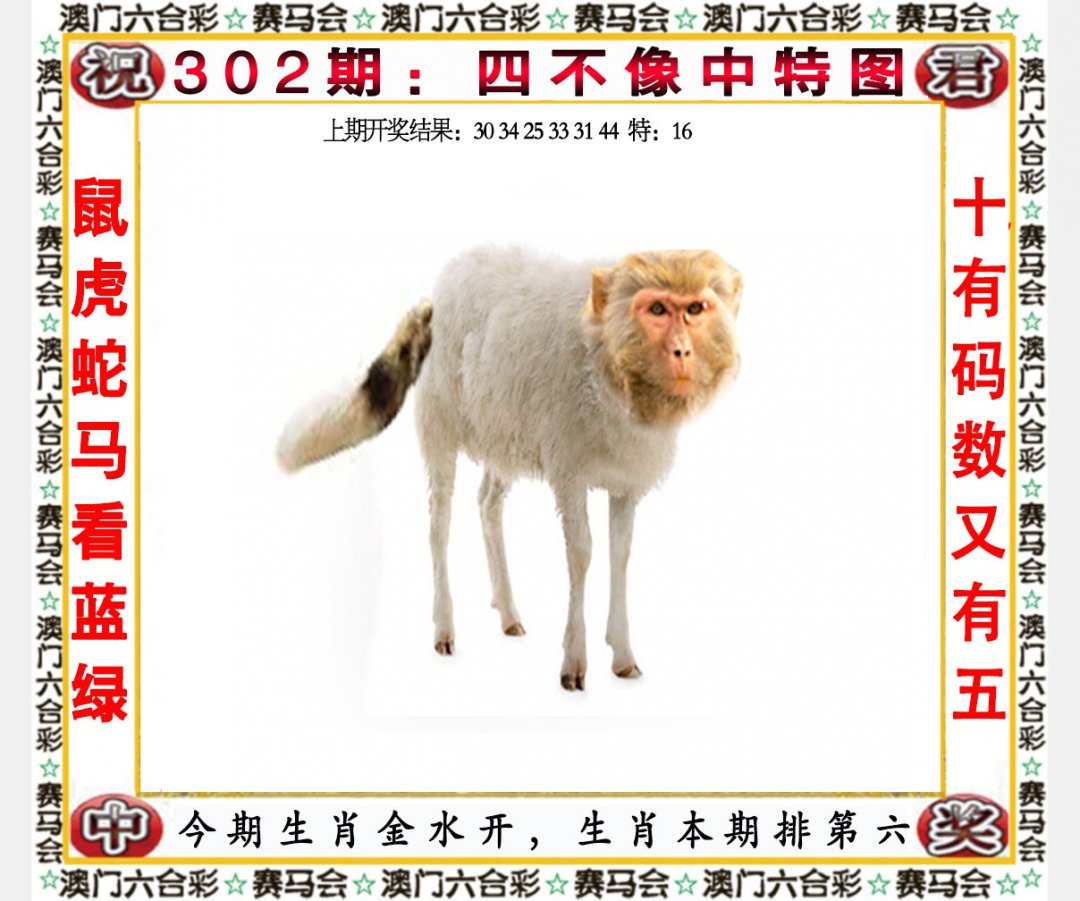 2024302期四不像中特图
