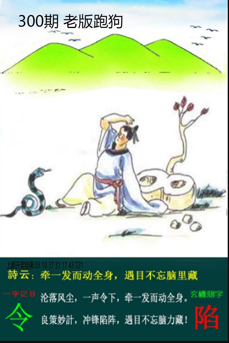 2024300期老板跑狗