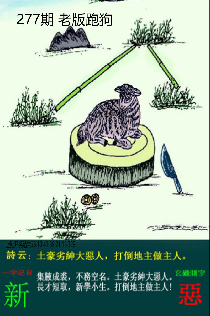 2024277期老板跑狗