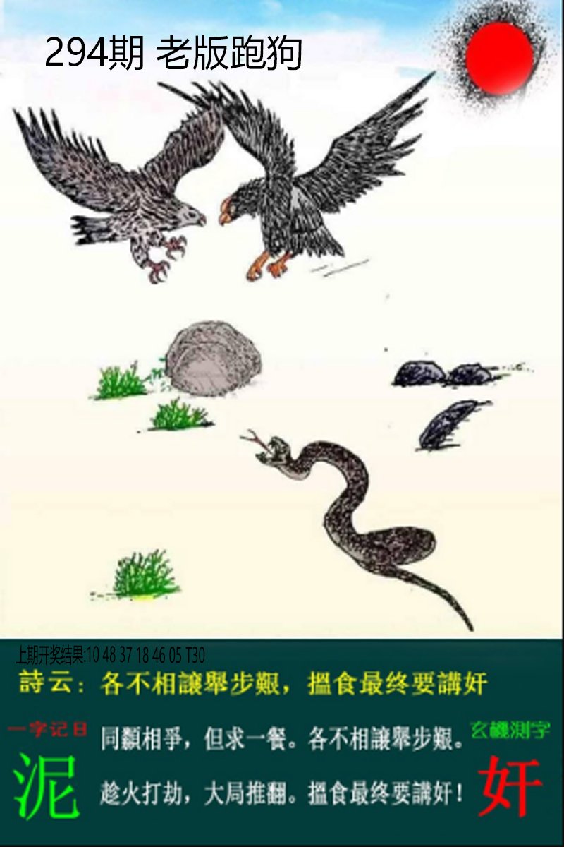2024294期老板跑狗