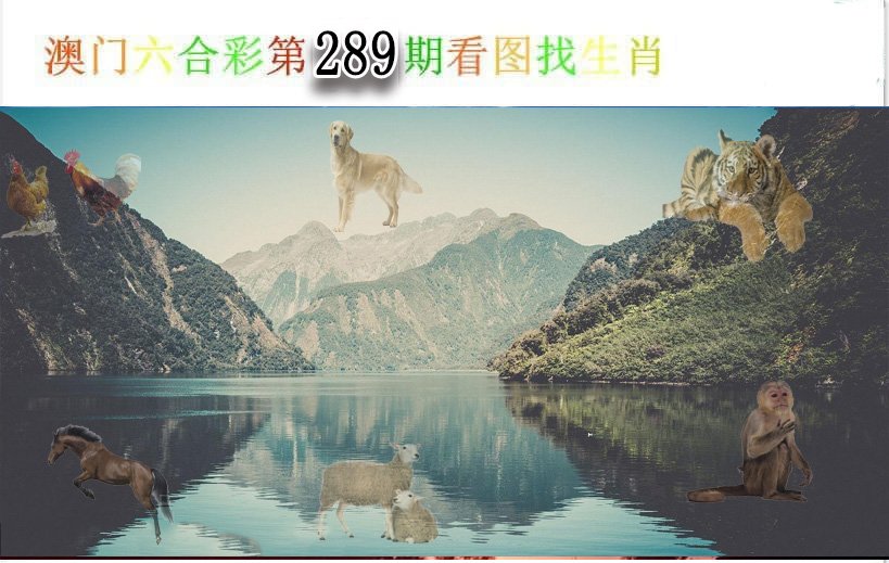 2024289期看图找生肖