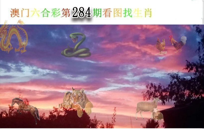 2024284期看图找生肖