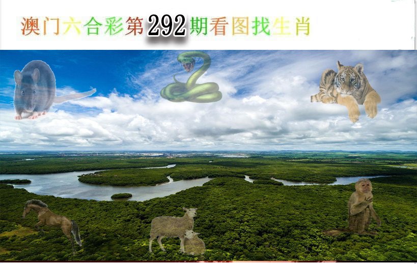 2024292期看图找生肖