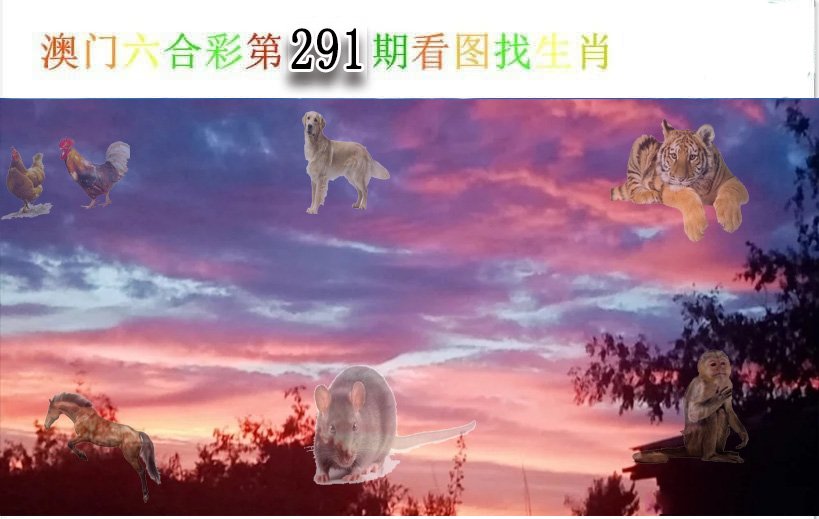 2024291期看图找生肖