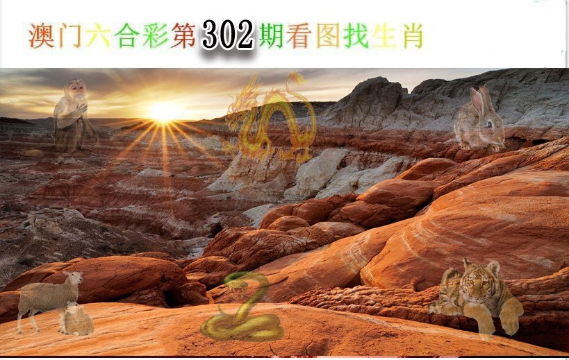 2024302期看图找生肖
