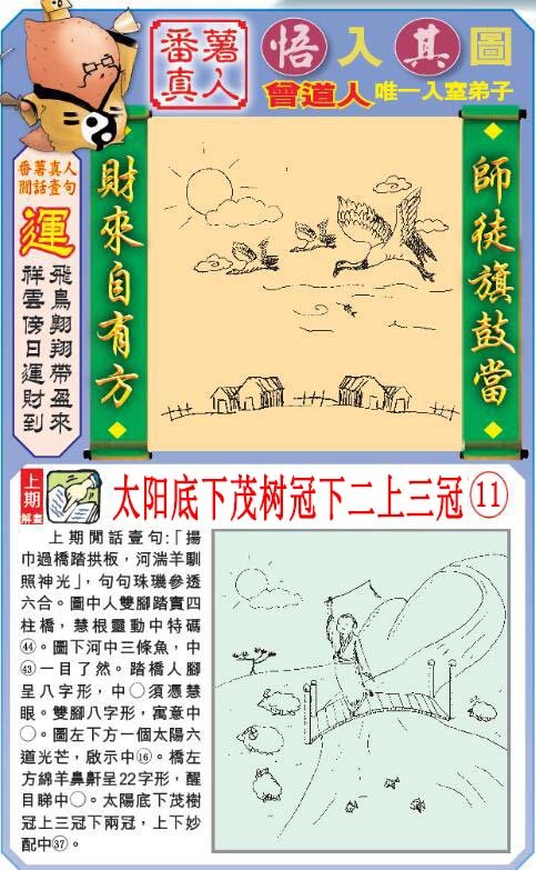 2024291期悟入其图