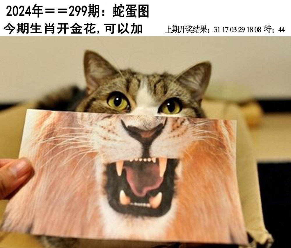2024299期另版蛇蛋图