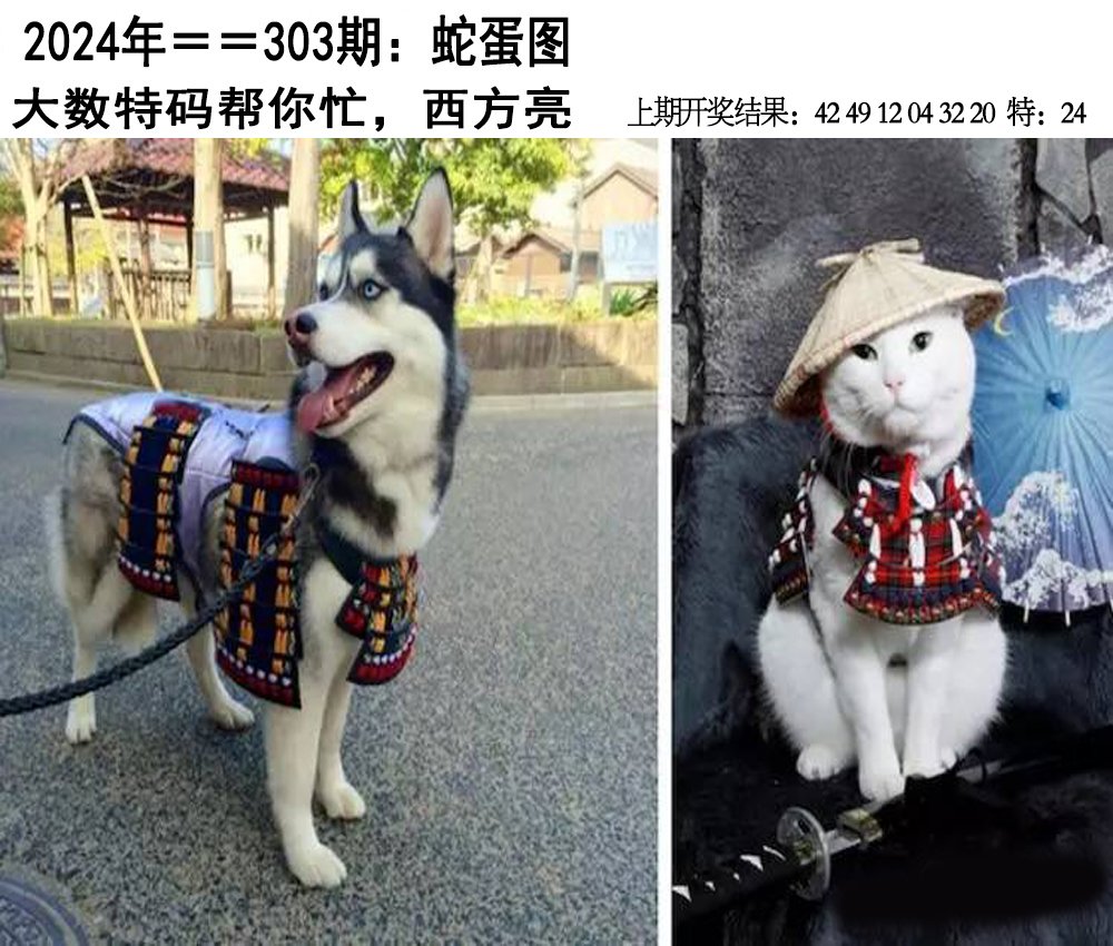 2024303期另版蛇蛋图