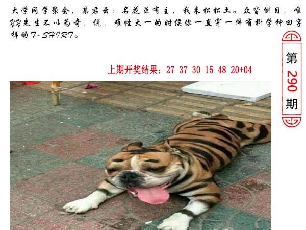 2024290期澳门生活幽默