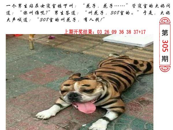 2024305期澳门生活幽默